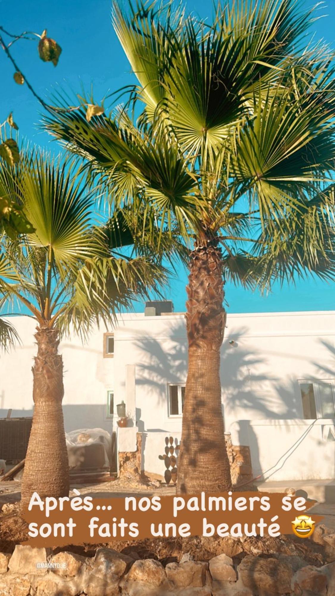 Villa La Quinta Da Liberdade - Ferme De Charme En Algarve à Pechão Extérieur photo