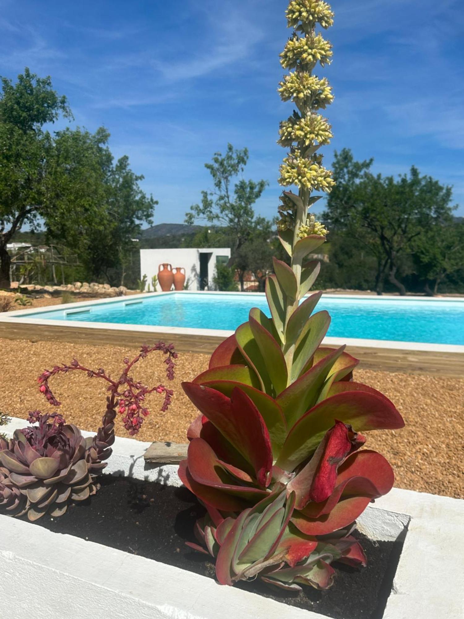 Villa La Quinta Da Liberdade - Ferme De Charme En Algarve à Pechão Extérieur photo