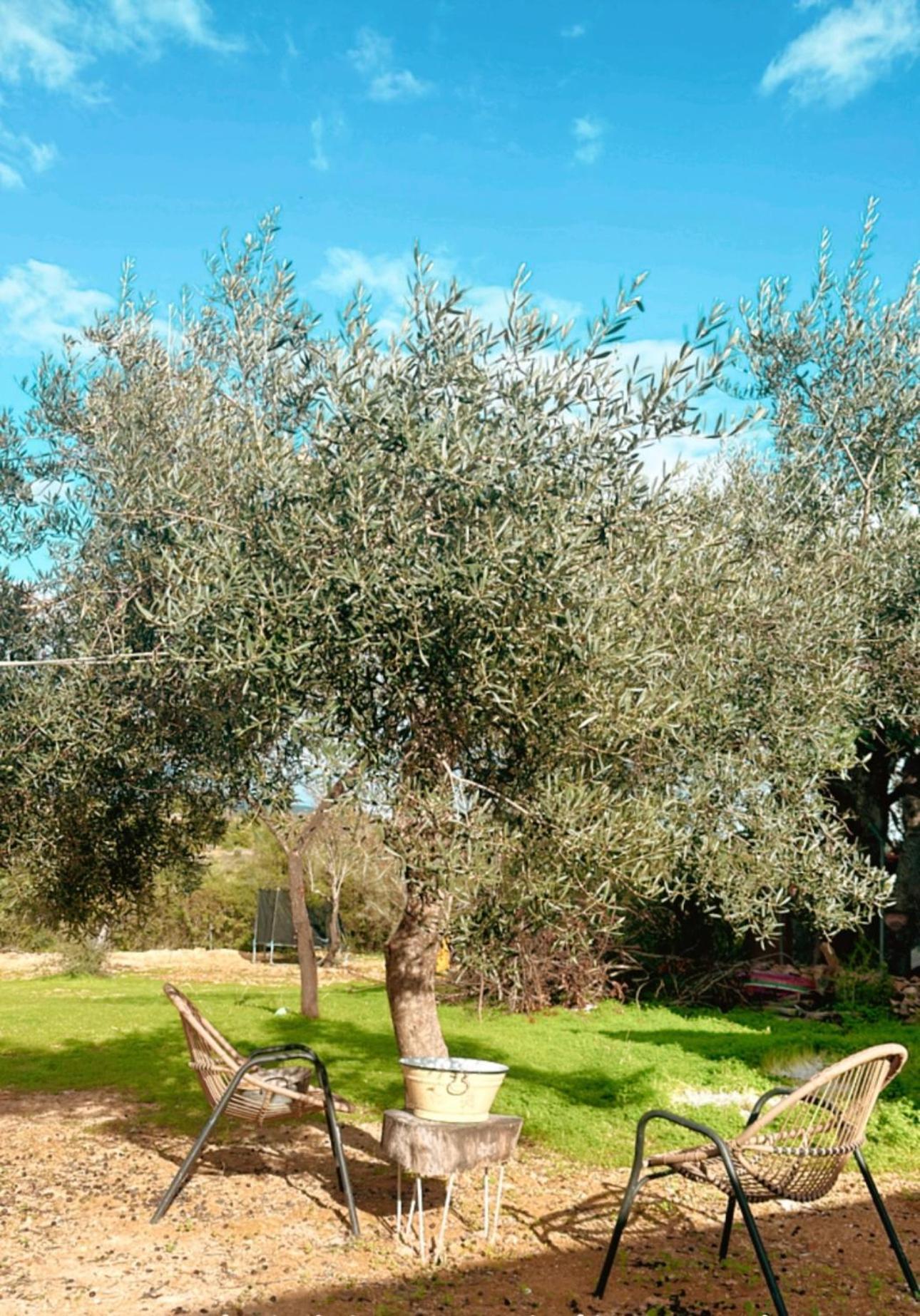 Villa La Quinta Da Liberdade - Ferme De Charme En Algarve à Pechão Extérieur photo