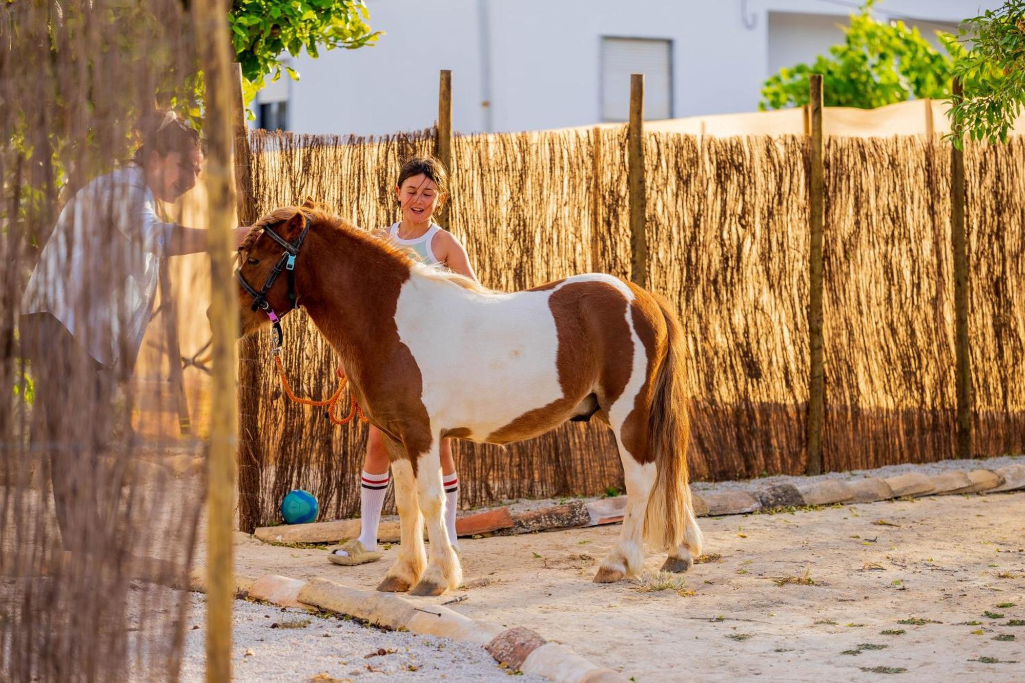 Villa La Quinta Da Liberdade - Ferme De Charme En Algarve à Pechão Extérieur photo